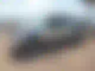 Vehicle Image- 2007 Nissan Frontier