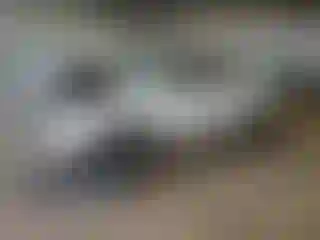 Vehicle Image- 2005 Nissan Frontier