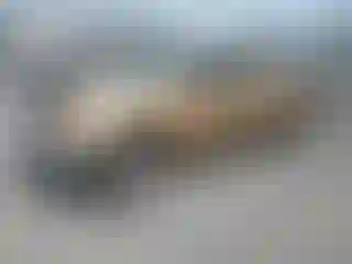 Vehicle Image- 2005 Nissan Frontier