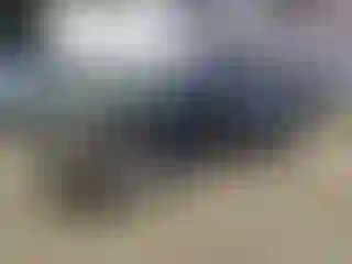 Vehicle Image- 2007 Nissan Frontier