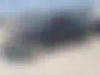 Vehicle Image- 2007 Nissan Frontier