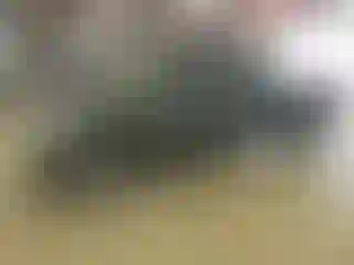 Vehicle Image- 2009 Nissan Frontier