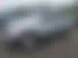 Vehicle Image- 2007 Nissan Frontier