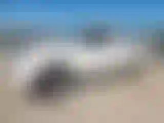 Vehicle Image- 2019 Nissan Frontier