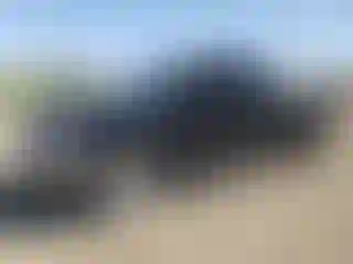 Vehicle Image- 2011 Nissan Frontier