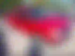 Vehicle Image- 2011 Nissan Frontier