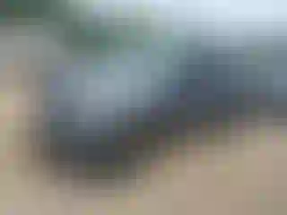 Vehicle Image- 2019 Nissan Frontier