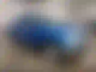 Vehicle Image- 2012 Nissan Frontier