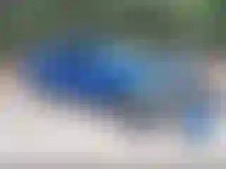 Vehicle Image- 2014 Nissan Frontier