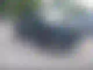 Vehicle Image- 2014 Nissan Frontier