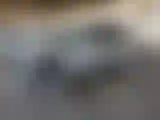 Vehicle Image- 2019 Nissan Frontier