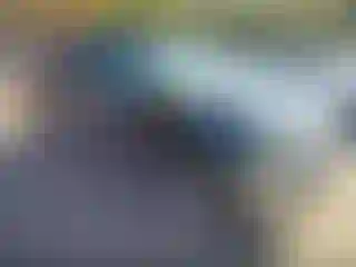 Vehicle Image- 2010 Nissan Frontier