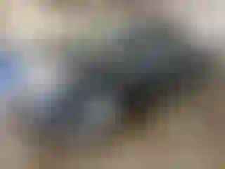 Vehicle Image- 2014 Nissan Frontier