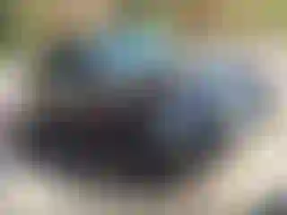 Vehicle Image- 2016 Nissan Frontier