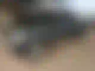 Vehicle Image- 2012 Nissan Frontier