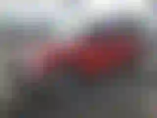 Vehicle Image- 2010 Nissan Frontier