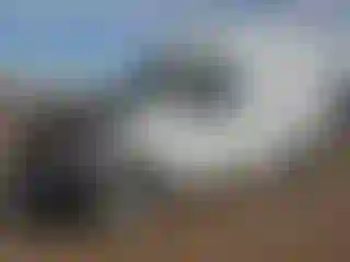 Vehicle Image- 2021 Nissan NV