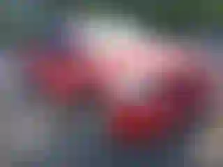Vehicle Image- 2005 Nissan Titan