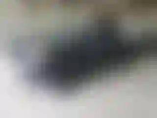 Vehicle Image- 2006 Nissan Titan