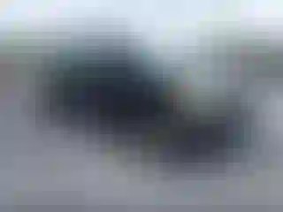 Vehicle Image- 2006 Nissan Titan