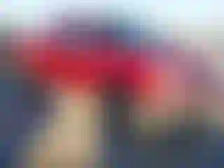 Vehicle Image- 2007 Nissan Frontier