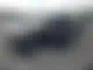 Vehicle Image- 2009 Nissan Frontier
