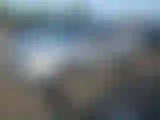 Vehicle Image- 2009 Nissan Frontier