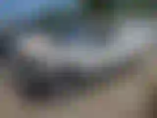 Vehicle Image- 2019 Nissan Frontier