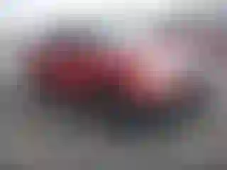 Vehicle Image- 2010 Nissan Frontier