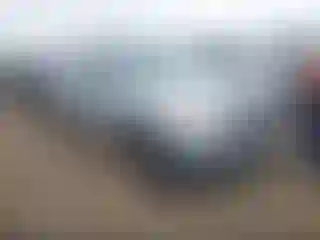 Vehicle Image- 2010 Nissan Frontier