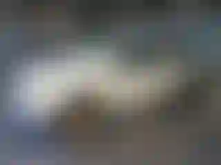 Vehicle Image- 2019 Nissan Frontier