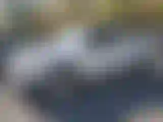 Vehicle Image- 2014 Nissan Frontier