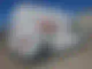 IMPORTOWO.pl