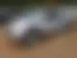 Vehicle Image- 2019 Nissan Frontier