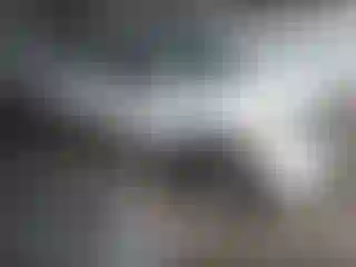 Vehicle Image- 2019 Nissan Frontier