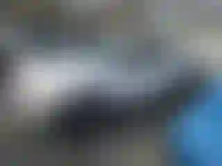 Vehicle Image- 2000 Nissan Frontier