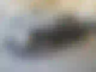 Vehicle Image- 2000 Nissan Frontier