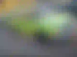 Vehicle Image- 1998 Nissan Frontier