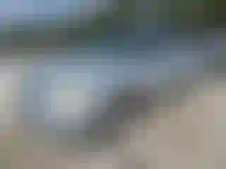 Vehicle Image- 2002 Nissan Frontier