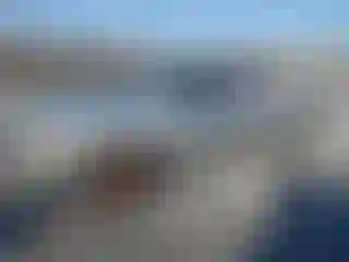 Vehicle Image- 2003 Nissan Frontier