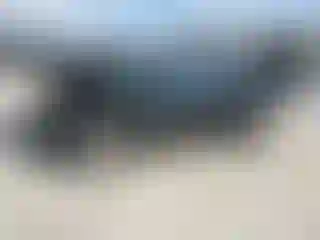 Vehicle Image- 2003 Nissan Frontier