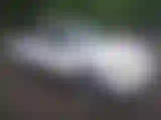 Vehicle Image- 2004 Nissan Frontier