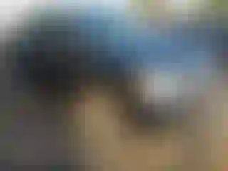 Vehicle Image- 2021 Nissan Frontier