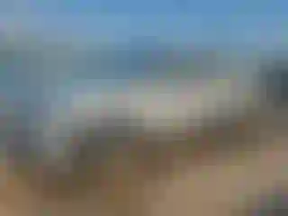 Vehicle Image- 2020 Nissan Frontier
