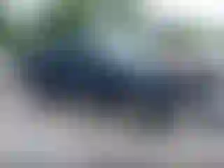Vehicle Image- 2021 Nissan Frontier