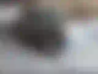 Vehicle Image- 2020 Nissan Frontier