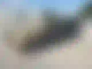 Vehicle Image- 2021 Nissan Frontier