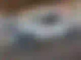 Vehicle Image- 2024 Nissan Frontier