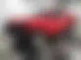 Vehicle Image- 2024 Nissan Frontier