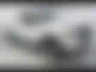 Vehicle Image- 2024 Nissan Frontier